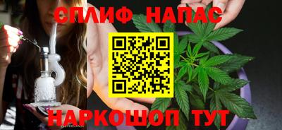 СК Краснодар