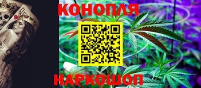 сатива Краснознаменск