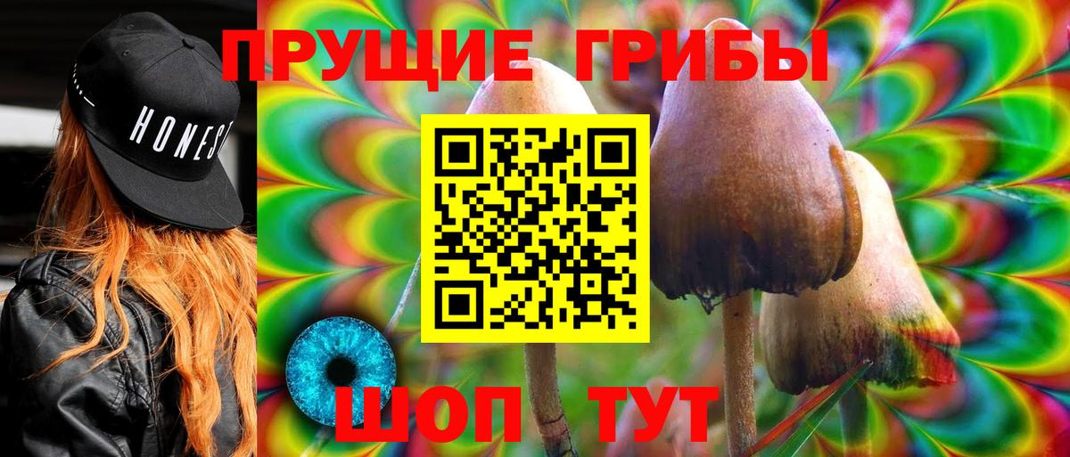 Галлюциногенные грибы Psilocybe Киржач
