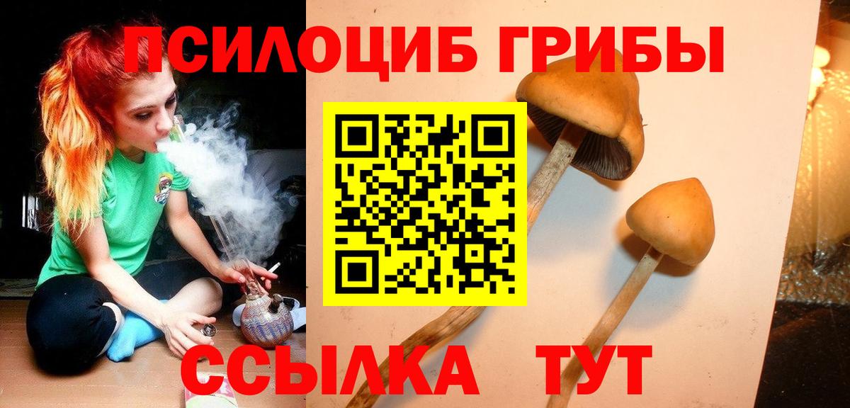 дарнет шоп  Вход с VPN  Галлюциногенные грибы GOLDEN TEACHER  Киржач  Галлюциногенные грибы мицелий 